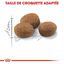 Royal Canin - Croquettes Sterilised 7+ pour Chat Senior - 10Kg Indicateur image numéro 5