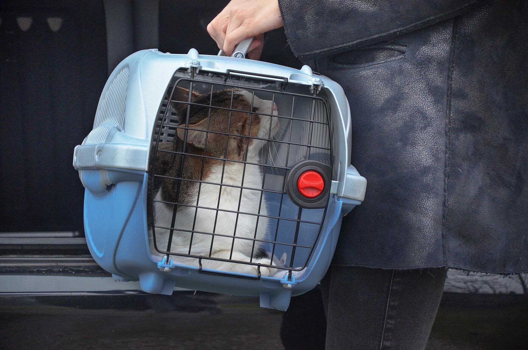 Ferplast - Panier Transport Atlas Deluxe 10 Open Image num&eacute;ro 8