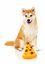 FuzzYard - Jouet Peluche Plush Toy Pizza pour Chien Indicateur image numéro 2
