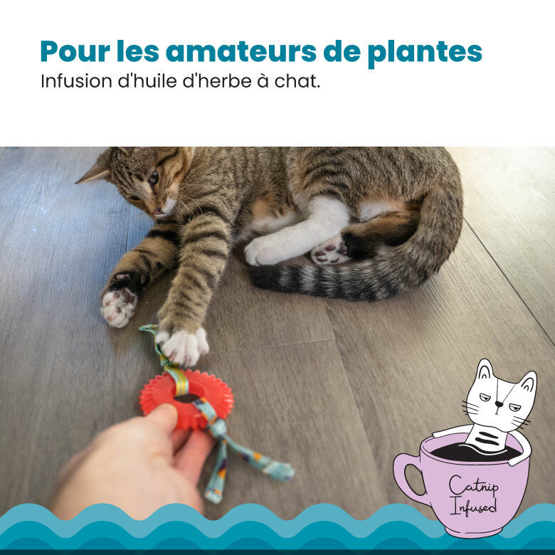 Outward Hound - Jouet &agrave; M&acirc;cher Kitty Chew Wheel pour Chats Image num&eacute;ro 5