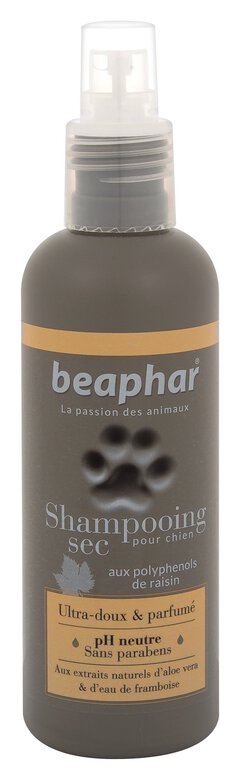 Beaphar - Spray Shampoing Sec Ultra-doux et Parfumé pour Chien - 200ml Image numéro 1 Beaphar - Spray Shampoing Sec Ultra-doux et Parfumé pour Chien - 200ml Image numéro 1