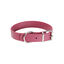 Gotoo - Collier Premium Biotane Bordeaux pour Chien - S Indicateur image numéro 1
