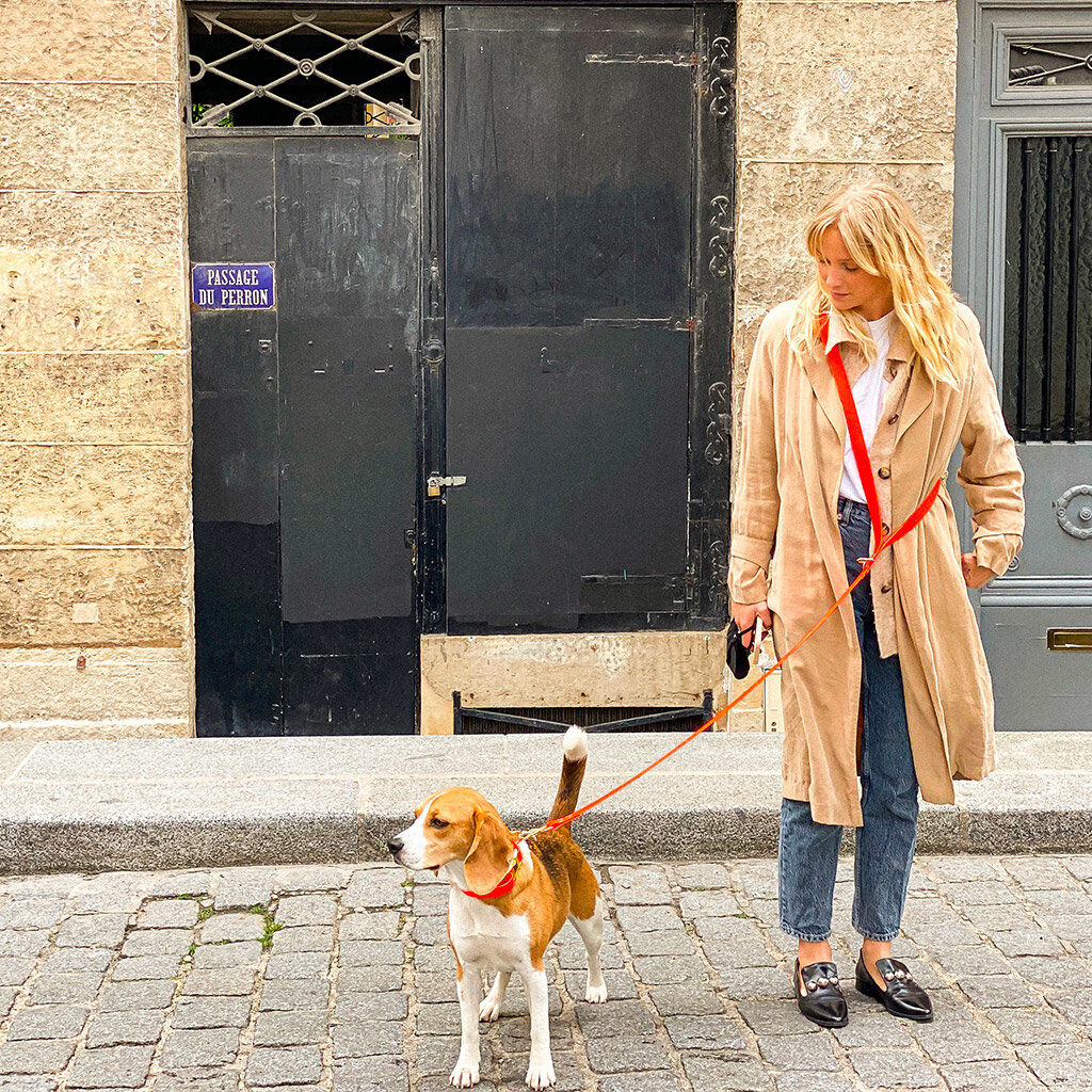 Pop Dog - Collier Foufou Orange pour Chien - S Image num&eacute;ro 3