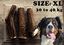 Animalis - Friandise Bois de Cerf Entier pour Chien - XL Indicateur image numéro 2