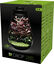 BioArt - Terrarium Drop 285 Led 5,1L pour Plantes - Noir Indicateur image numéro 2