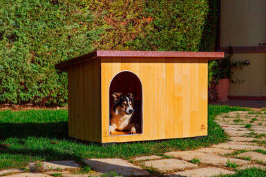 Ferplast - Niche en Bois Baita - 100