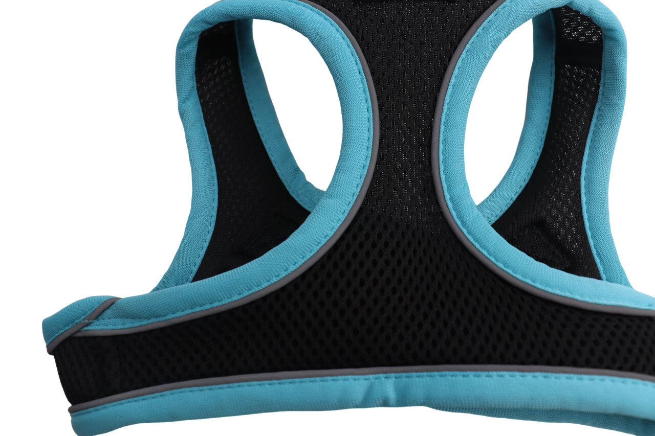 Gotoo - Harnais en Mesh Turquoise pour Chien - XS Image num&eacute;ro 3