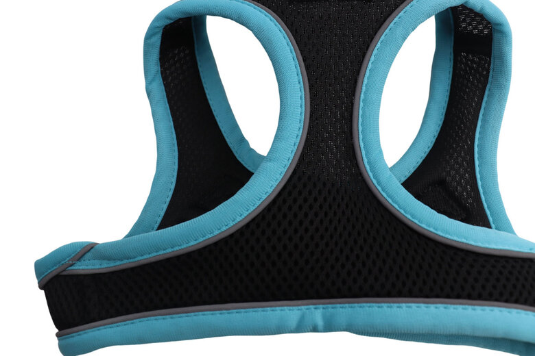 Gotoo - Harnais en Mesh Turquoise pour Chien - XS Image numéro 3 Gotoo - Harnais en Mesh Turquoise pour Chien - XS Image numéro 3