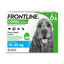 Frontline Combo - Pipettes Antiparasitaire pour Chien de 10 à 20Kg - 6x1,34ml Indicateur image numéro 1