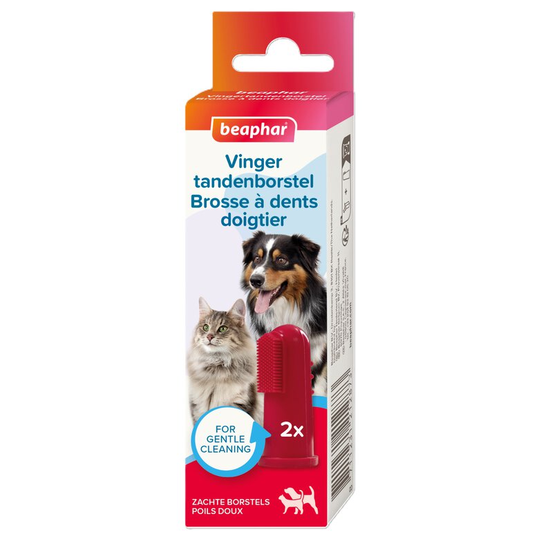 Beaphar - Doigtier Brosse à Dents pour Chiens et Chats Image numéro 1 Beaphar - Doigtier Brosse à Dents pour Chiens et Chats Image numéro 1