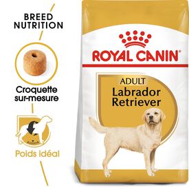 Royal Canin - Croquettes Labrador pour Chien Adulte
