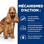 Hill's - Croquettes Prescription Diet Z/D Food Sensitivities pour Chiens - 8Kg Indicateur image numéro 4