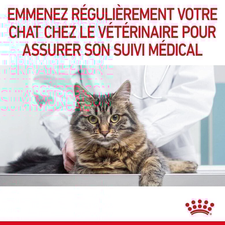 Royal Canin - Croquettes Urinary Care pour Chat - 2 Kg Image numéro 11 Royal Canin - Croquettes Urinary Care pour Chat - 2 Kg Image numéro 11