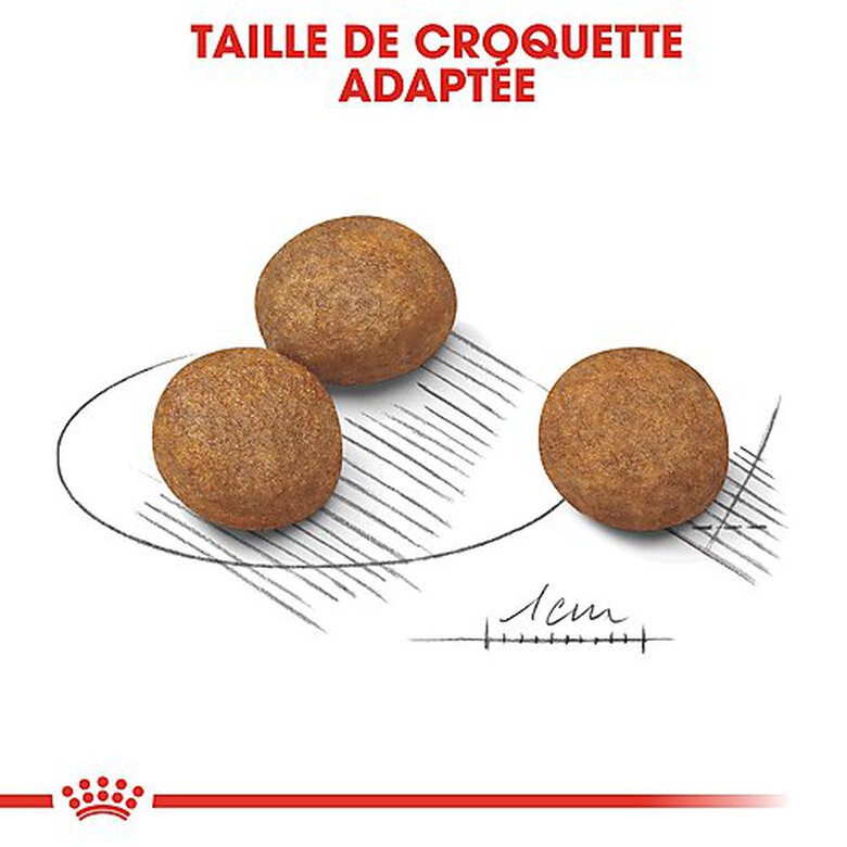 Royal Canin - Croquettes Maxi Puppy pour Chiot - 4Kg Image numéro 6 Royal Canin - Croquettes Maxi Puppy pour Chiot - 4Kg Image numéro 6