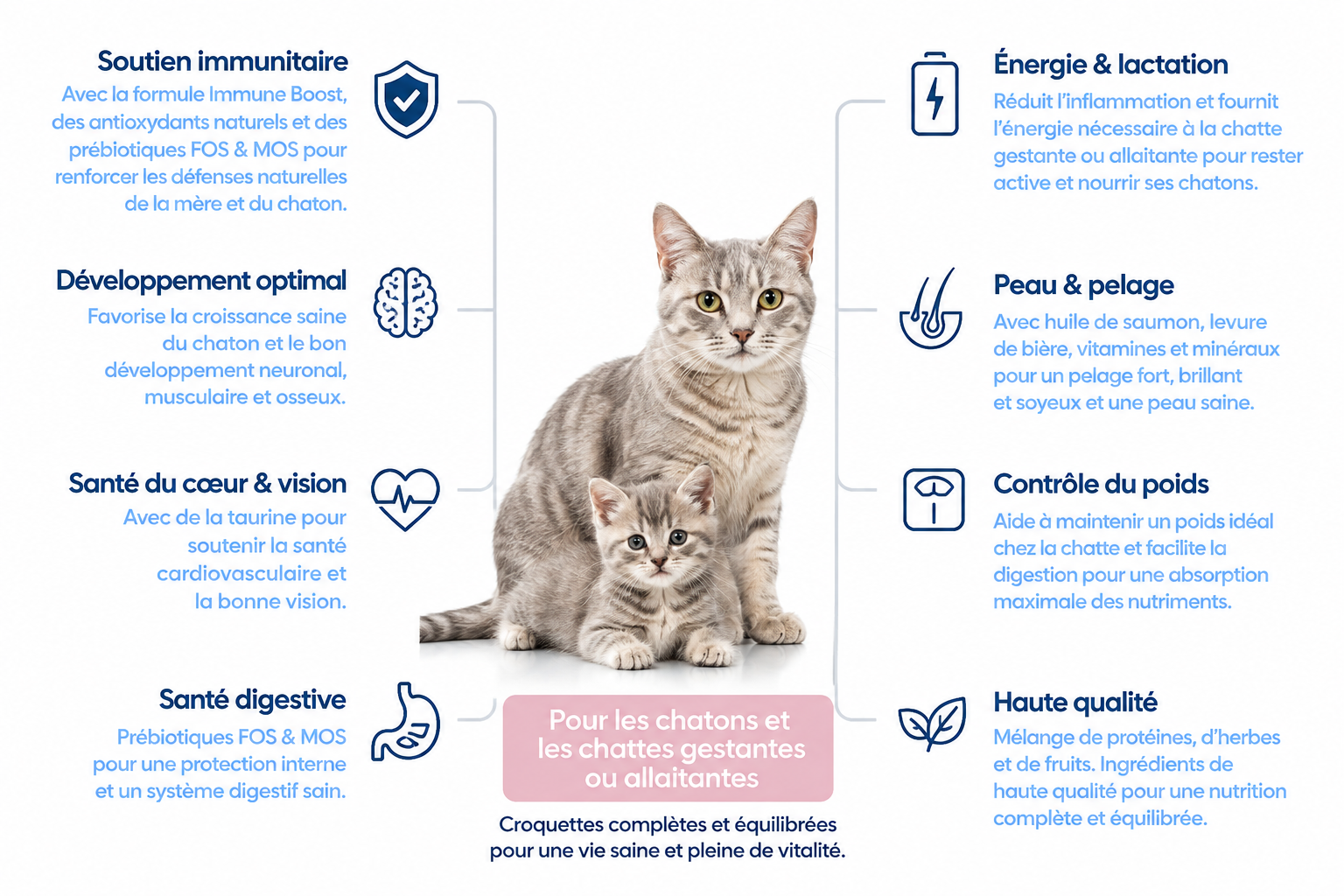 Nath - Croquettes pour Chatte et Chaton - 2Kg Image num&eacute;ro 4