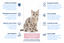Nath - Croquettes pour Chatte et Chaton - 2Kg Indicateur image num&eacute;ro 4