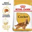 Royal Canin - Croquettes Cocker pour Chien Adulte - 3Kg Indicateur image numéro 3