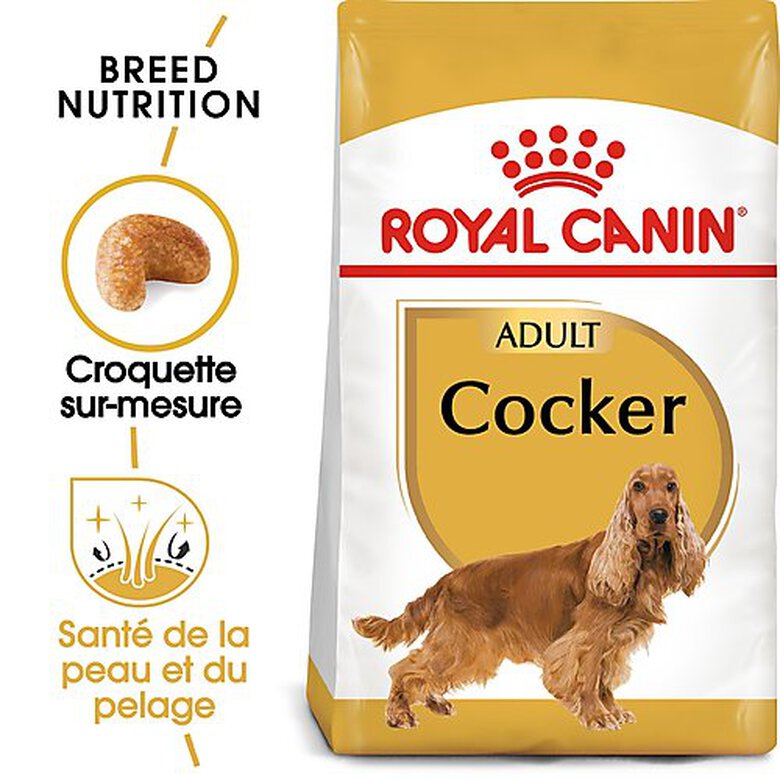 Royal Canin - Croquettes Cocker pour Chien Adulte - 3Kg image number null