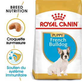 Royal Canin - Croquettes Bouledogue Français Junior pour Chiot