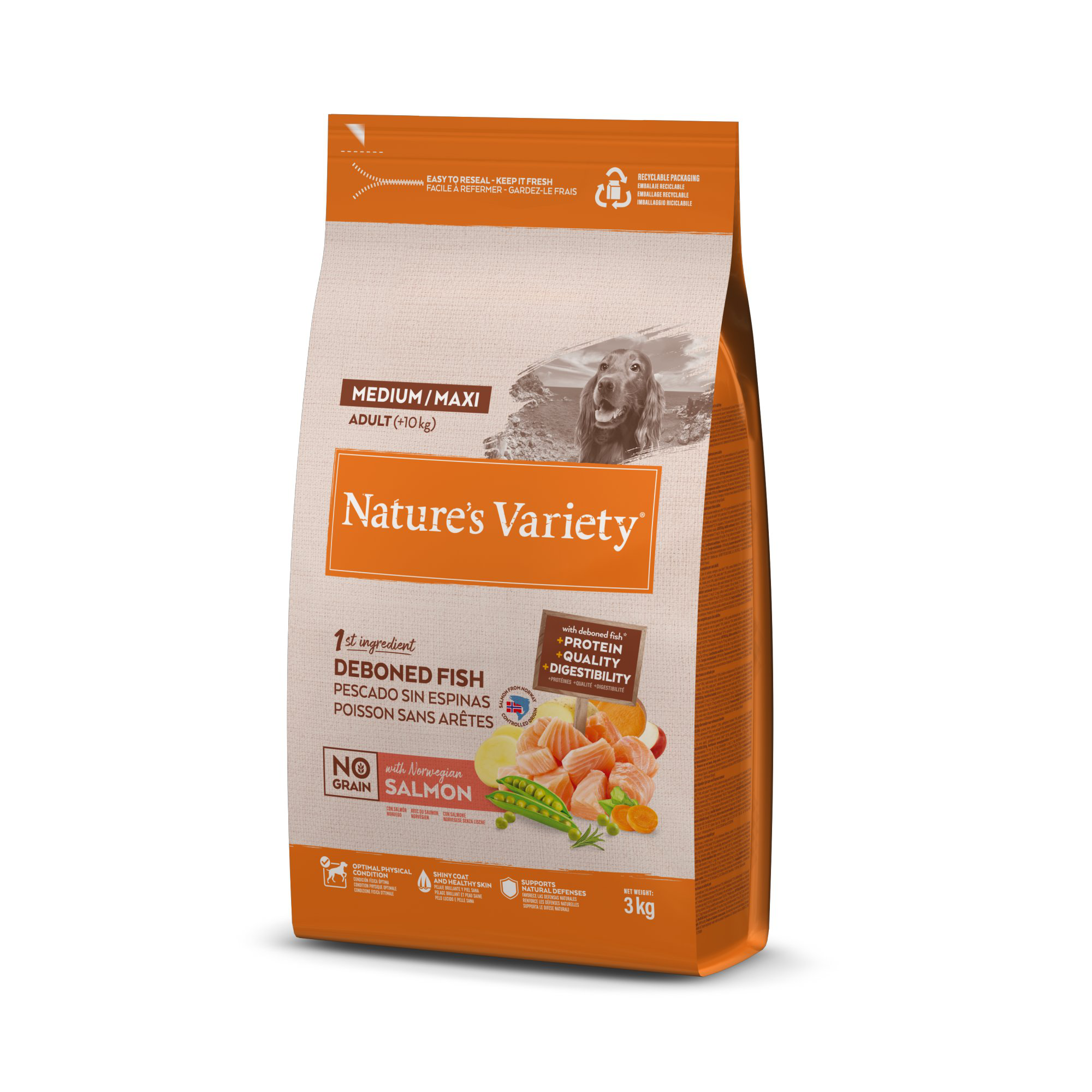 Nature's Variety - Croquettes No Grain Adulte Au Saumon Pour Chiens - 3kg Image num&eacute;ro 7
