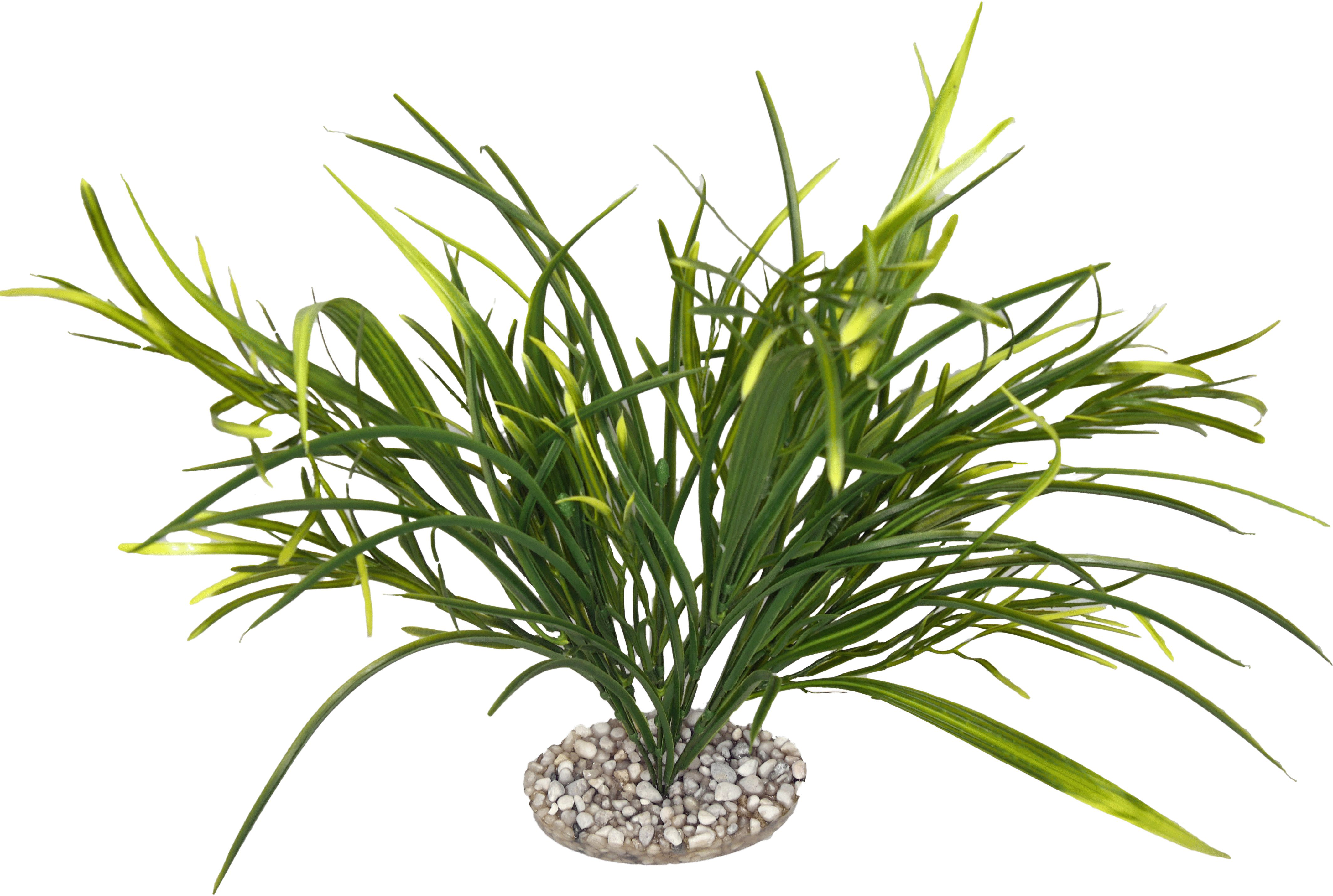 Labeo - Fond de d&eacute;cor - Plante Artificielle Aquarium Image num&eacute;ro 3