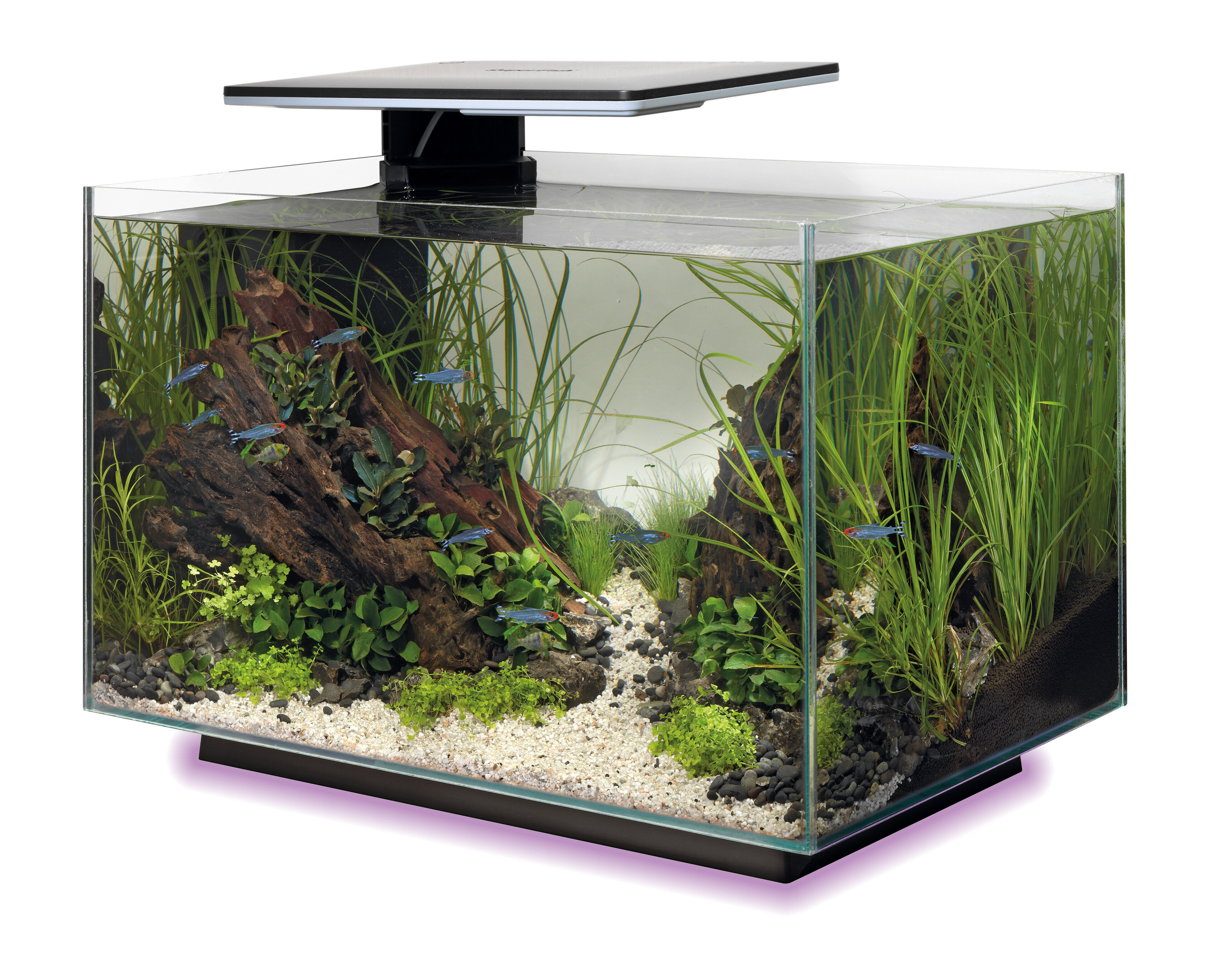 Superfish - Aquarium Quadro 40 Multi Colour - Noir Image num&eacute;ro 10