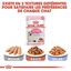 Royal Canin - Sachets Kitten Instinctive en Sauce pour Chat - 12x85g Indicateur image numéro 7