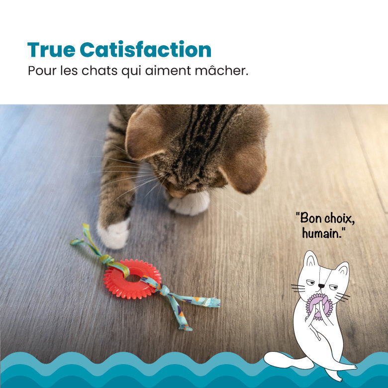 Outward Hound - Jouet à Mâcher Kitty Chew Wheel pour Chats Image numéro 3 Outward Hound - Jouet à Mâcher Kitty Chew Wheel pour Chats Image numéro 3