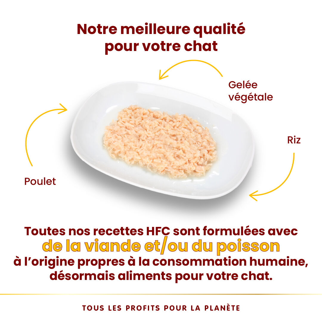 Almo Nature - P&acirc;t&eacute;e en Bo&icirc;te HFC Jelly Imp&eacute;rial au Poulet pour Chat - 70g Image num&eacute;ro 4