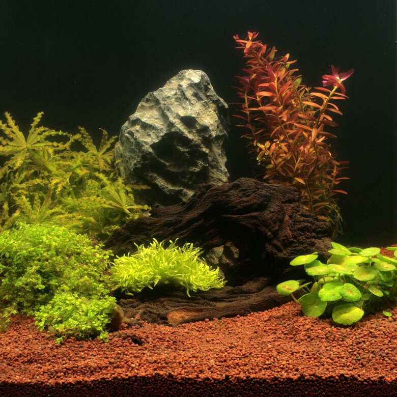 Jbl - Substrat Sol Naturel Manado pour Aquarium - 5l Image numéro 2 Jbl - Substrat Sol Naturel Manado pour Aquarium - 5l Image numéro 2