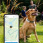 Tractive - Traceur GPS DOG 4 pour Chiens - Blanc Indicateur image numéro 8
