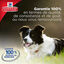 Hill's Science Plan - Pâtée Vitalité et Longévité au Poulet pour Chien Sénior - 370g Indicateur image numéro 2