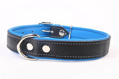 Yogipet - Collier en Cuir pour Chien Bleu