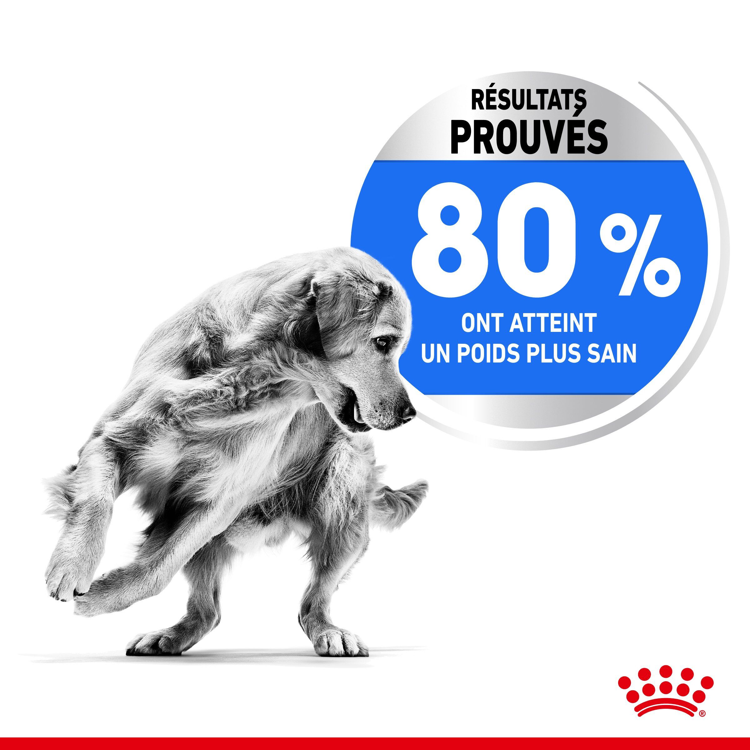 Royal Canin - Croquettes Medium Light Weight Care pour Chien - 3Kg Image num&eacute;ro 4