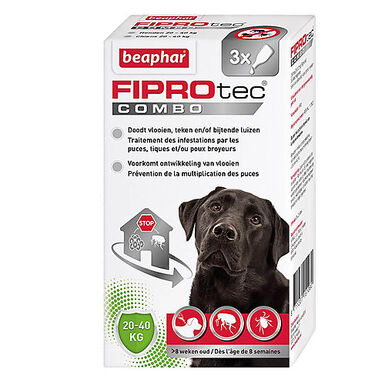 Beaphar - Pipettes Anti-tiques Fiprotec Combo pour Grand Chien - x3