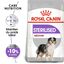 Royal Canin - Croquettes Medium Sterilised pour Chien Stérilisé - 3Kg Indicateur image numéro 1