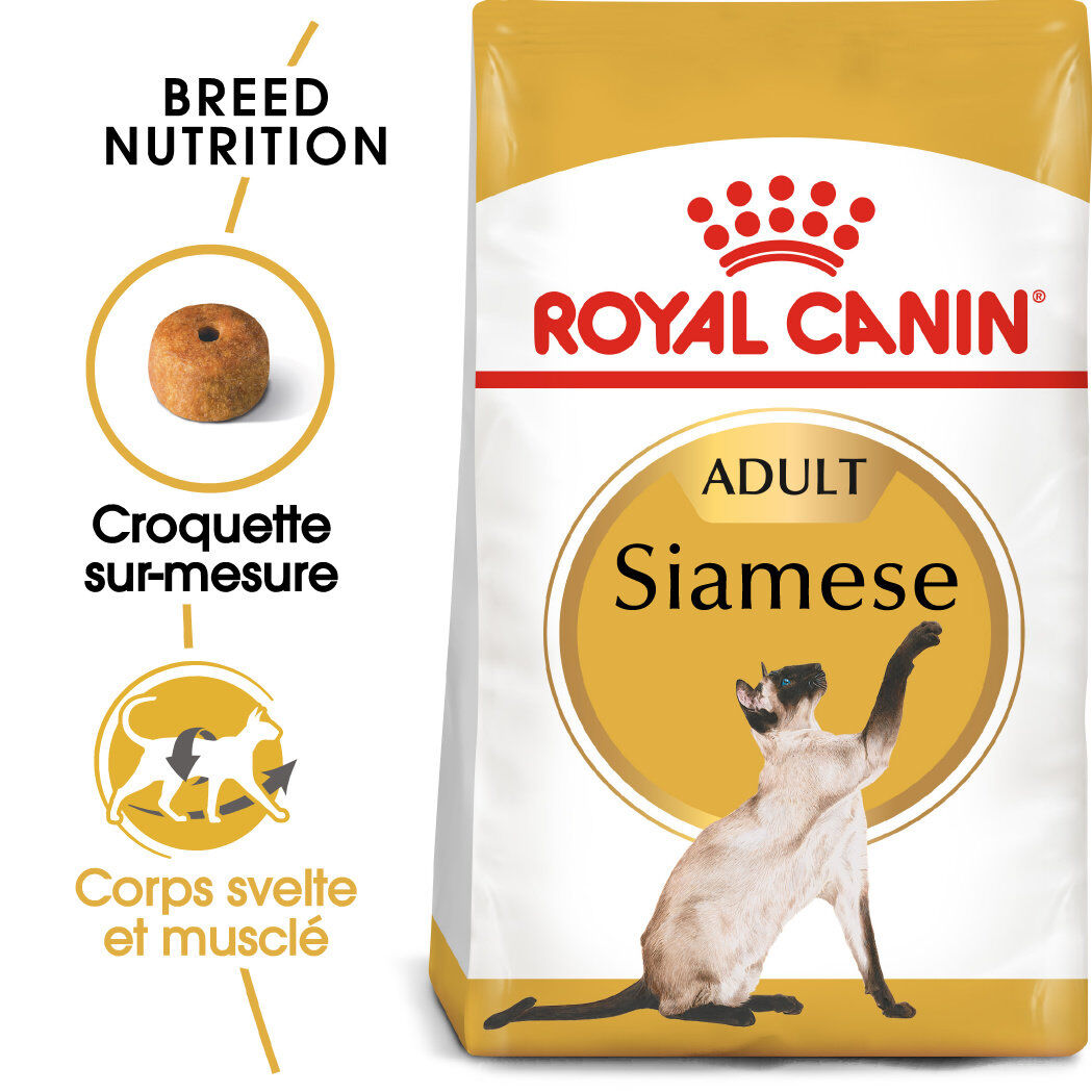 Royal Canin - Croquettes Siamese Adult pour Chats - 2Kg Image num&eacute;ro 1