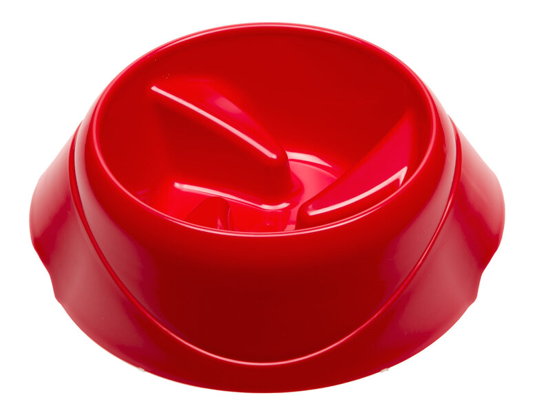 Ferplast - Ecuelle Anti-glouton Magnus Slow Rouge - L Image numéro 1 Ferplast - Ecuelle Anti-glouton Magnus Slow Rouge - L Image numéro 1