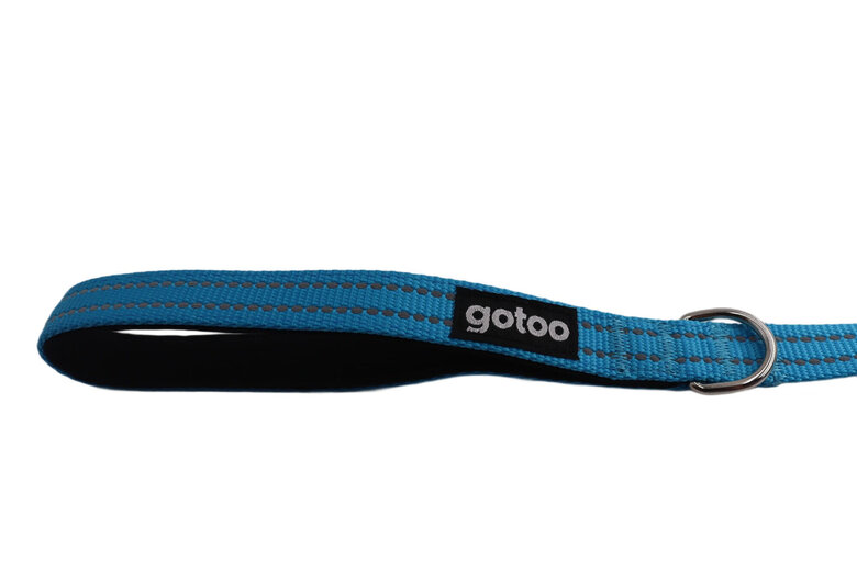 Gotoo - Laisse Essentials en Nylon Premium Bleu pour Chien Image numéro 4 Gotoo - Laisse Essentials en Nylon Premium Bleu pour Chien Image numéro 4