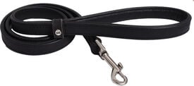 Bobby - Laisse Bone 120cmx18mm pour Chiens