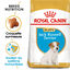 Royal Canin - Croquettes Jack Russell Junior - 3Kg Indicateur image numéro 1