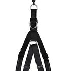 Animalis - Harnais Basic Confort T4 40mm et 96/120cm pour Chien - Noir image number null