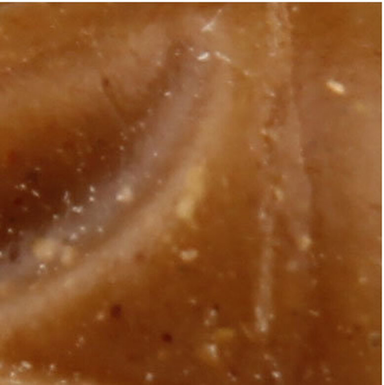 Tootoy! - Recharge Pointes Dentaires - 183g Image numéro 4 Tootoy! - Recharge Pointes Dentaires - 183g Image numéro 4