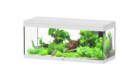 Aquatlantis - Aquarium Prestige 100 - Blanc Led 2.0 EQP