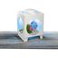 Tetra - Aquarium Betta Projector en Blanc pour Betta - 1,8L Indicateur image numéro 1