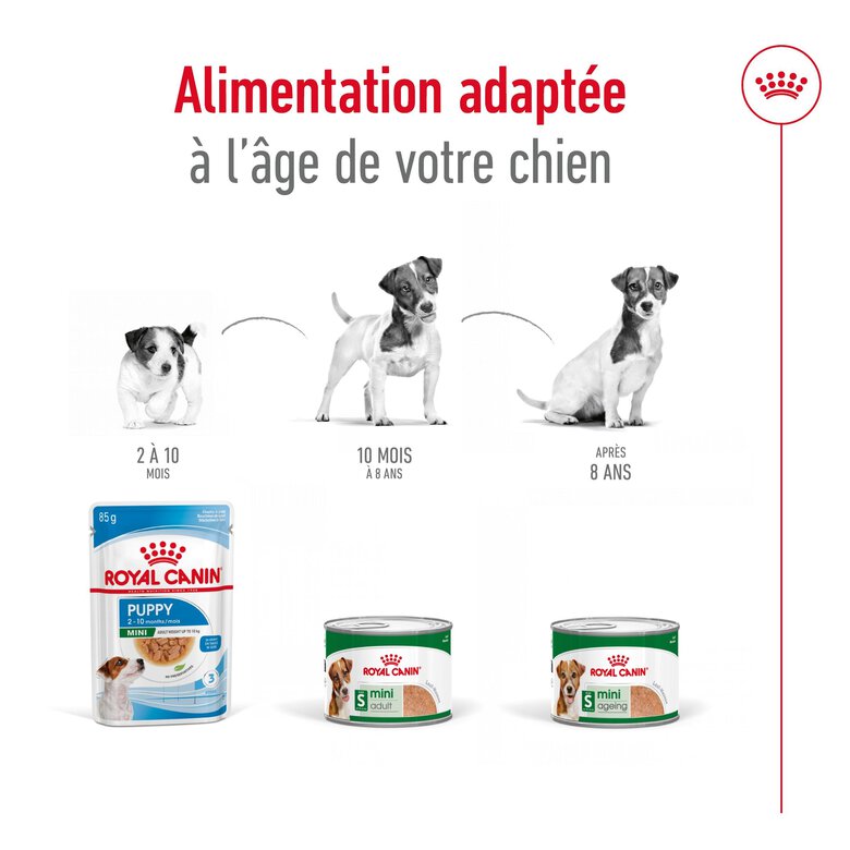 Royal Canin - Pâtée en Mousse Mini Adult S - 195g Image numéro 5 Royal Canin - Pâtée en Mousse Mini Adult S - 195g Image numéro 5