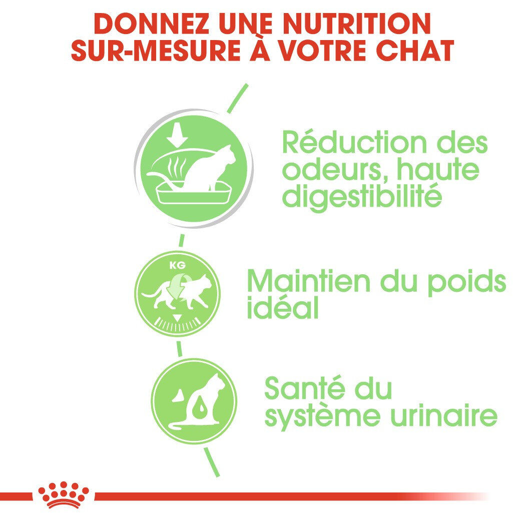 Royal Canin - Sachets Digestive Care sauce pour Chat - 12x85g Image num&eacute;ro 4