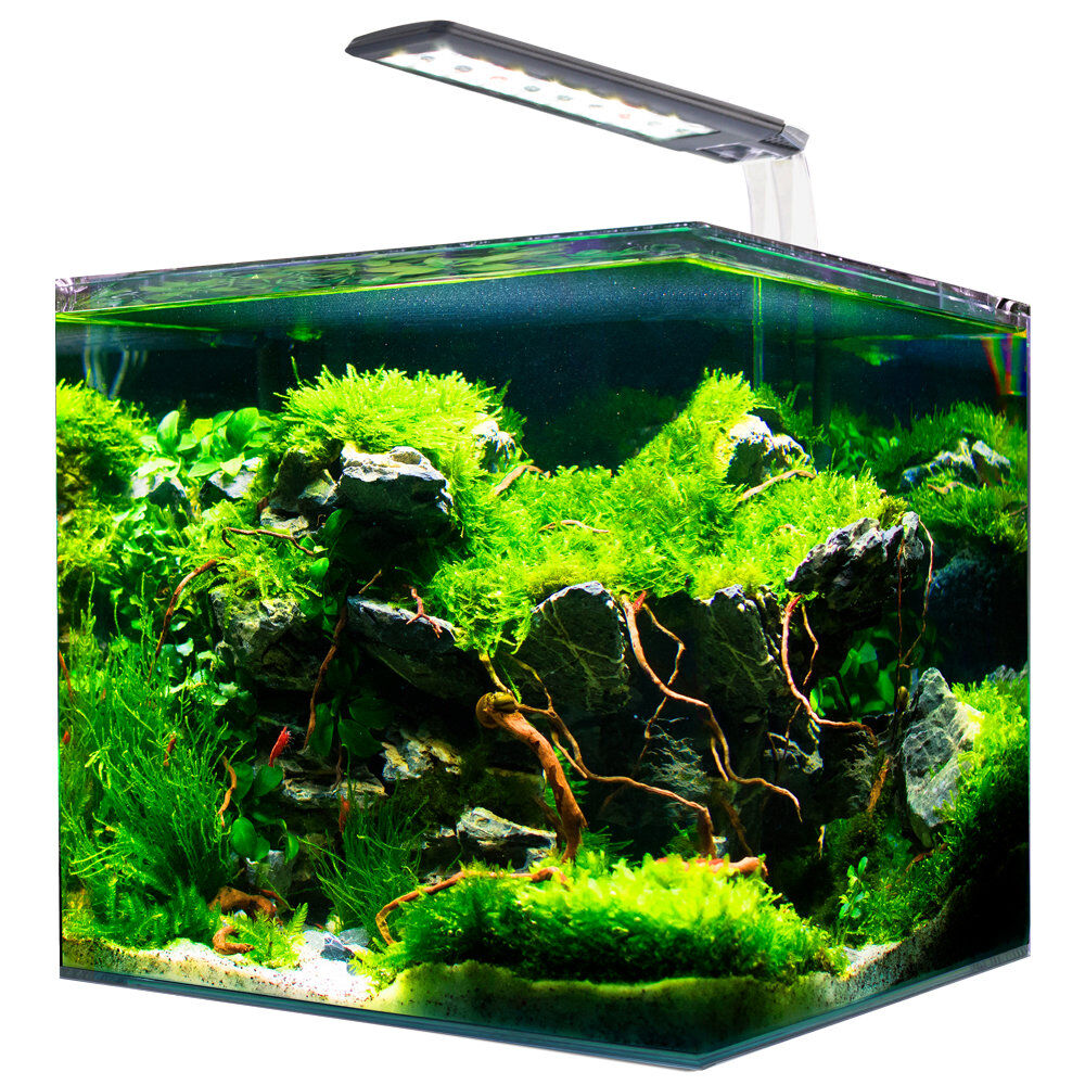 Amtra - Kit Aquarium Nanotank System 15 - 30x20x25cm Image num&eacute;ro 1