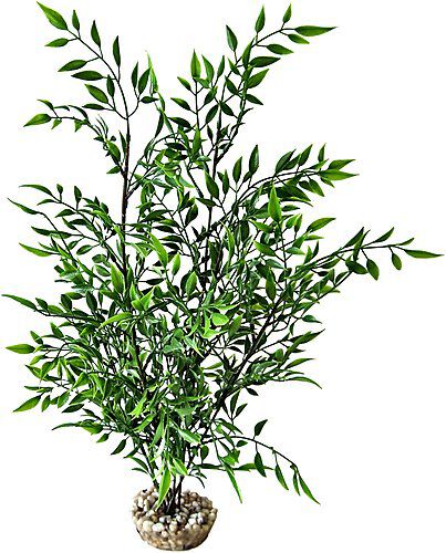Labeo - Bambou grand mod&egrave;le vert - Plante Artificielle Aquarium Image num&eacute;ro 1