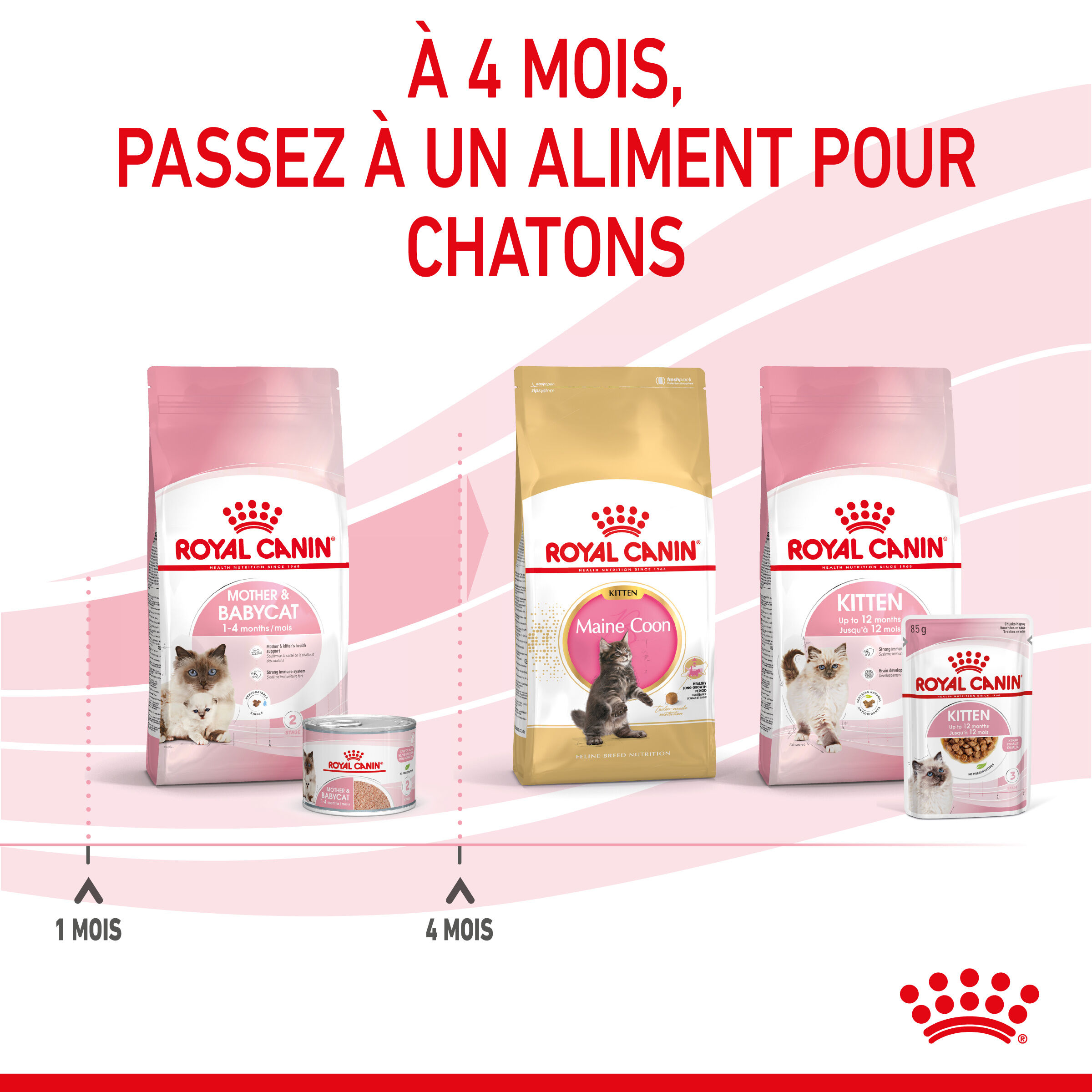 Royal Canin - P&acirc;t&eacute;e en Mousse Mother & Babycat pour Chatons - 12x195g Image num&eacute;ro 5